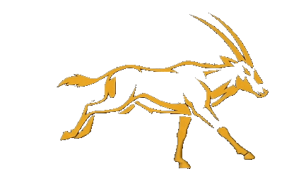 Oryx Vantage Running Animation